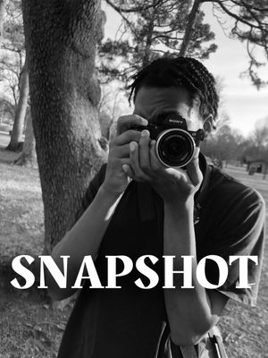 Snapshot's poster