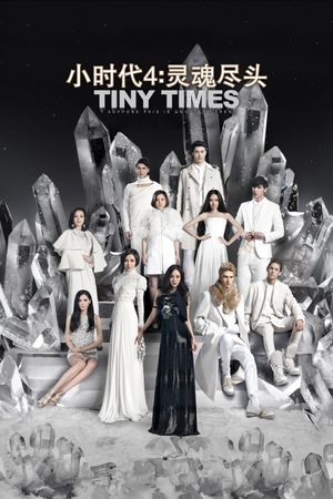 Tiny Times 4.0's poster