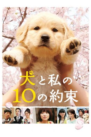 10 Promises to My Dog's poster