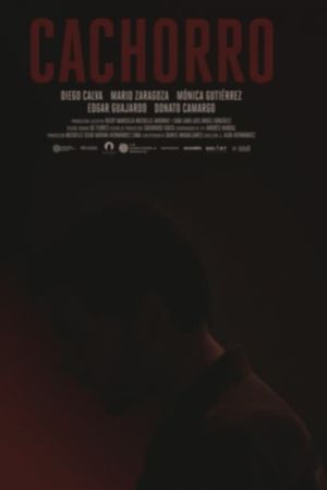 Cachorro's poster