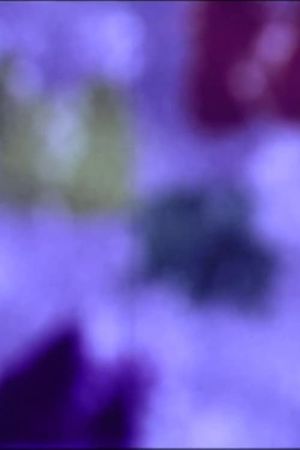 Chromograms 3's poster