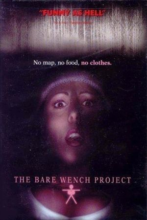 The Bare Wench Project's poster image