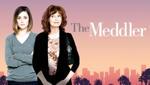 The Meddler's poster