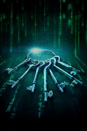 The Matrix Reloaded's poster