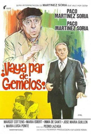¡Vaya par de gemelos!'s poster