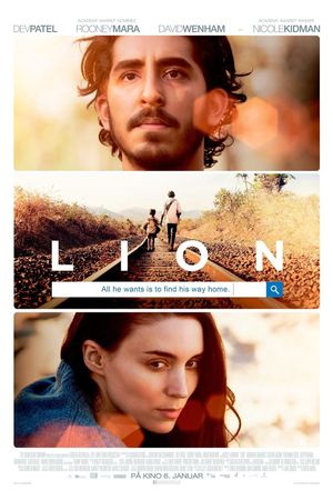 Lion's poster