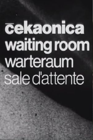 Waiting Room's poster