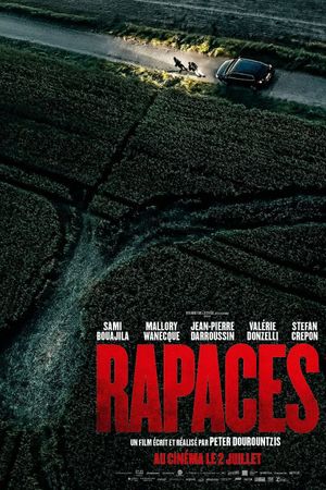Vultures's poster