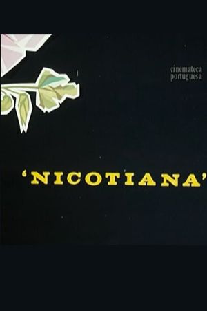 Nicotiana's poster