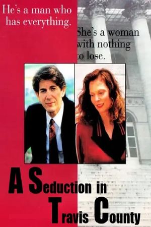 A Seduction in Travis County's poster