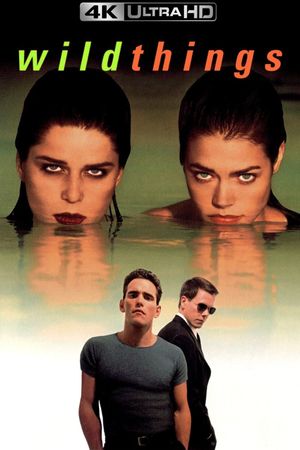 Wild Things's poster