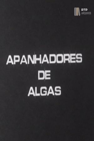 Apanhadores de Algas's poster