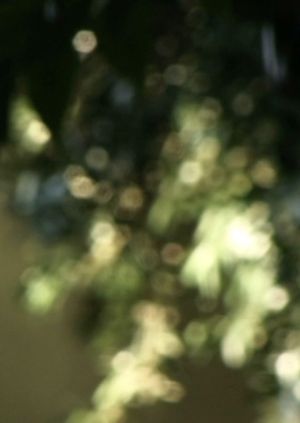 Glimmering's poster