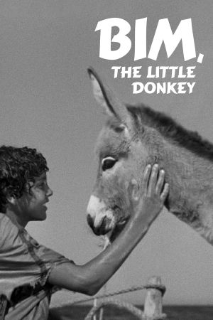 Bim, the Little Donkey's poster