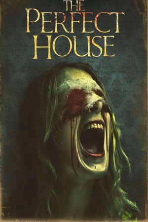 The Perfect House's poster