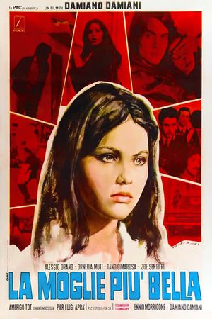 The Most Beautiful Wife's poster