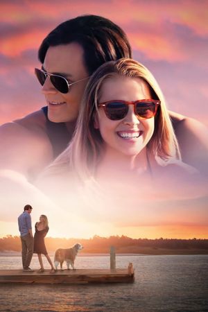 The Choice's poster