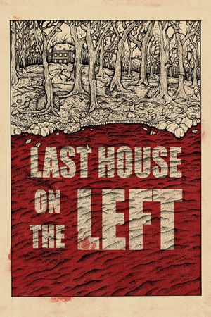 The Last House on the Left's poster