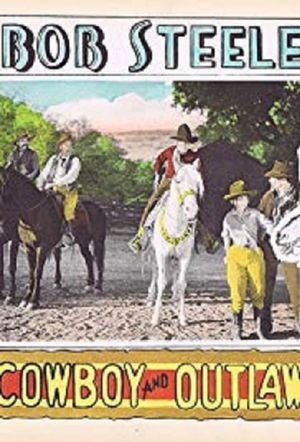 The Cowboy and the Outlaw's poster