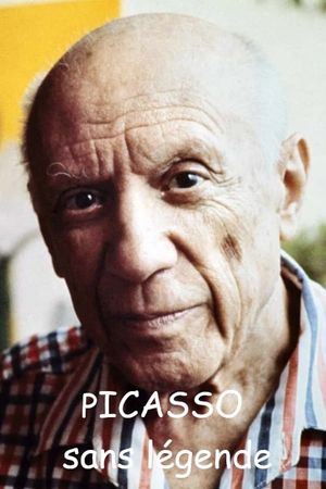 Picasso sans légende's poster image