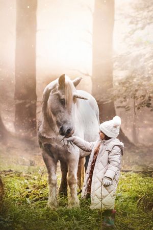 Tale of the Forest Unicorn's poster