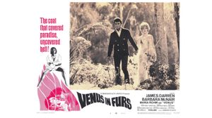 Venus in Furs's poster