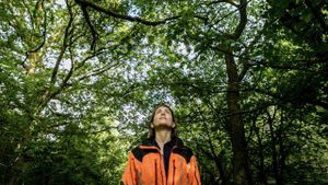 The Arborist's poster