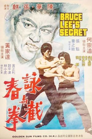 Bruce Lee's Deadly Kung Fu's poster