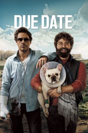 Due Date's poster