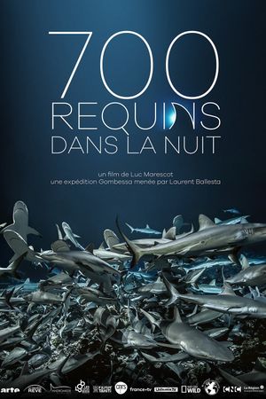 700 Sharks's poster