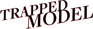 A Model Kidnapping's poster