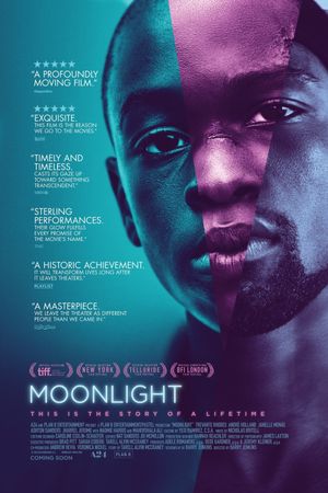 Moonlight's poster