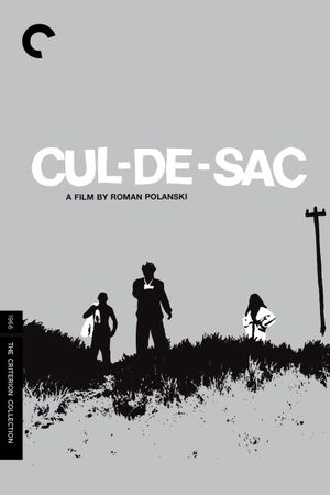Cul-de-sac's poster