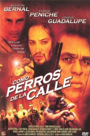 Como perros de la calle's poster