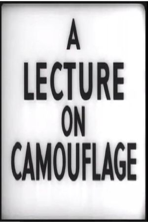 A Lecture on Camouflage's poster