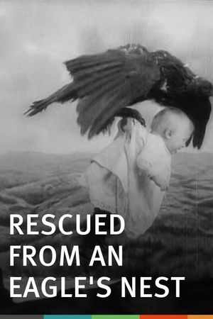 Rescued from an Eagle's Nest's poster image