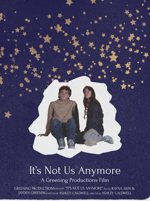 It's Not Us Anymore's poster