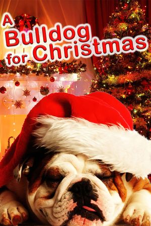 A Bulldog for Christmas's poster