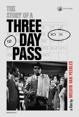 The Story of a Three Day Pass's poster