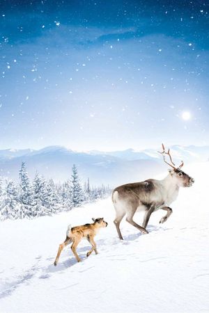 A Reindeer's Journey's poster