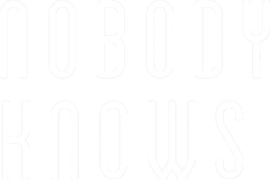 Nobody Knows's poster