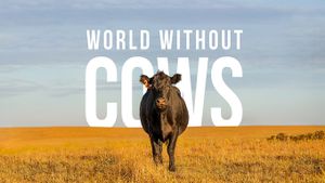 World Without Cows's poster