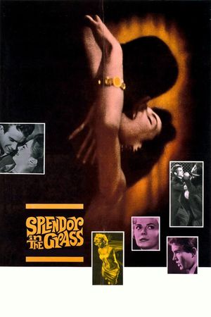 Splendor in the Grass's poster