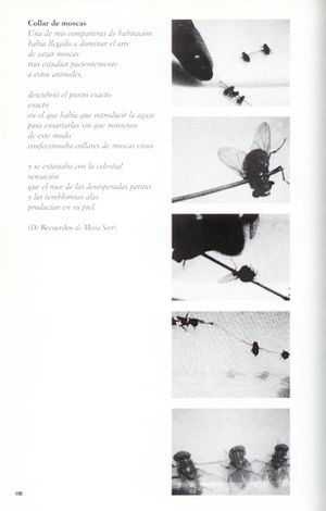 Collar de moscas's poster