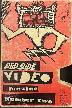 Flipside Video Fanzine Number Two's poster image