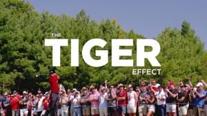 The Tiger Effect's poster