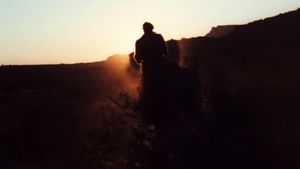 The Outlaw Josey Wales's poster