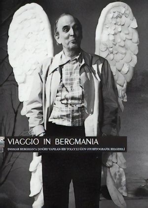 Viaggio in Bergmania's poster
