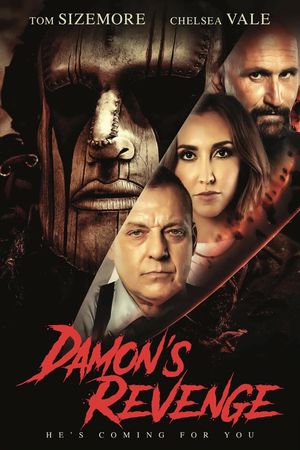 Damon's Revenge's poster