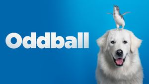 Oddball's poster